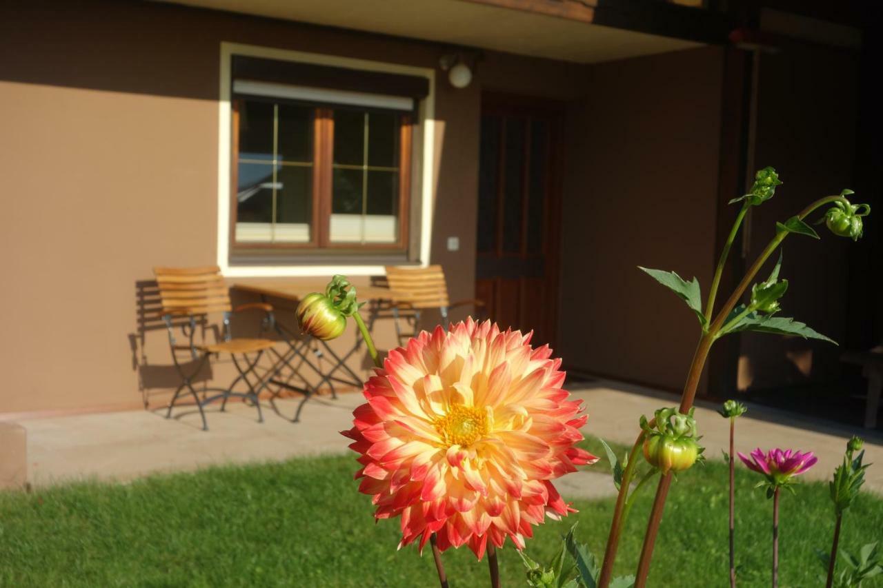 Apartment Steinkellner เทรอโพลาค ภายนอก รูปภาพ